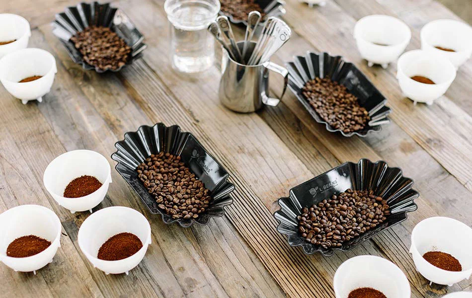 Barista Hustle Cupping Bowls - Image 7