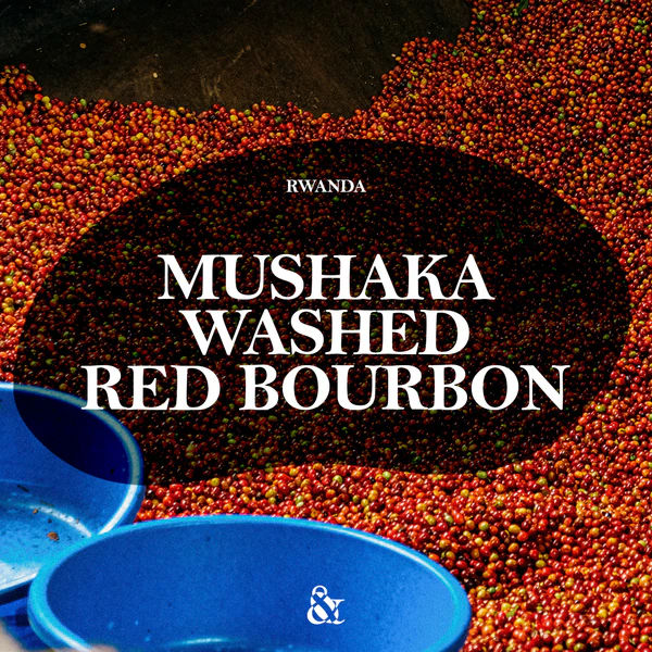 Origin Coffee Roasting - Rwanda Mushaka Washed - Image 4