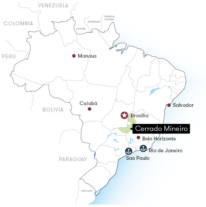 Quaffee - Brazil Eagle Monte Carmelo - Image 4