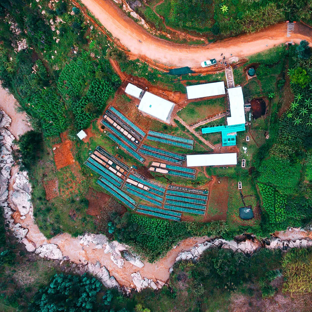 Quaffee - Rwanda Shyira - Image 3