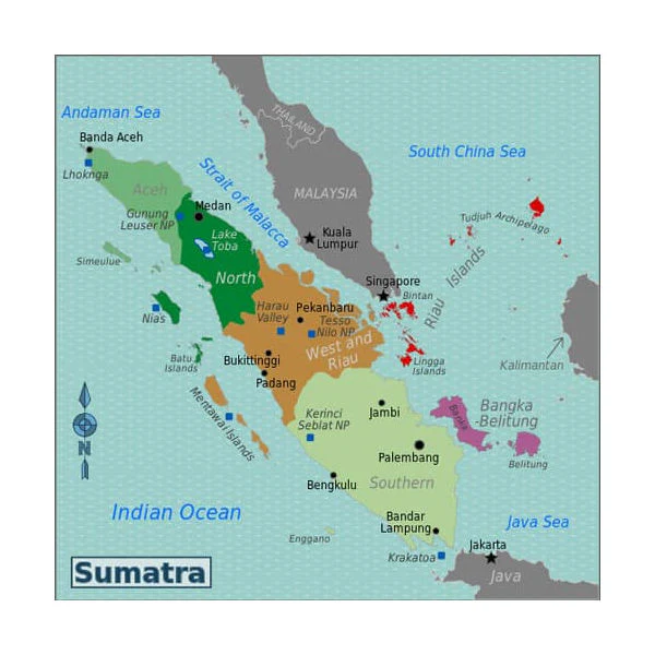 Quaffee - Indonesia Sumatra Hendra Maulizar Pegasing Anaerobic Natural - Image 5