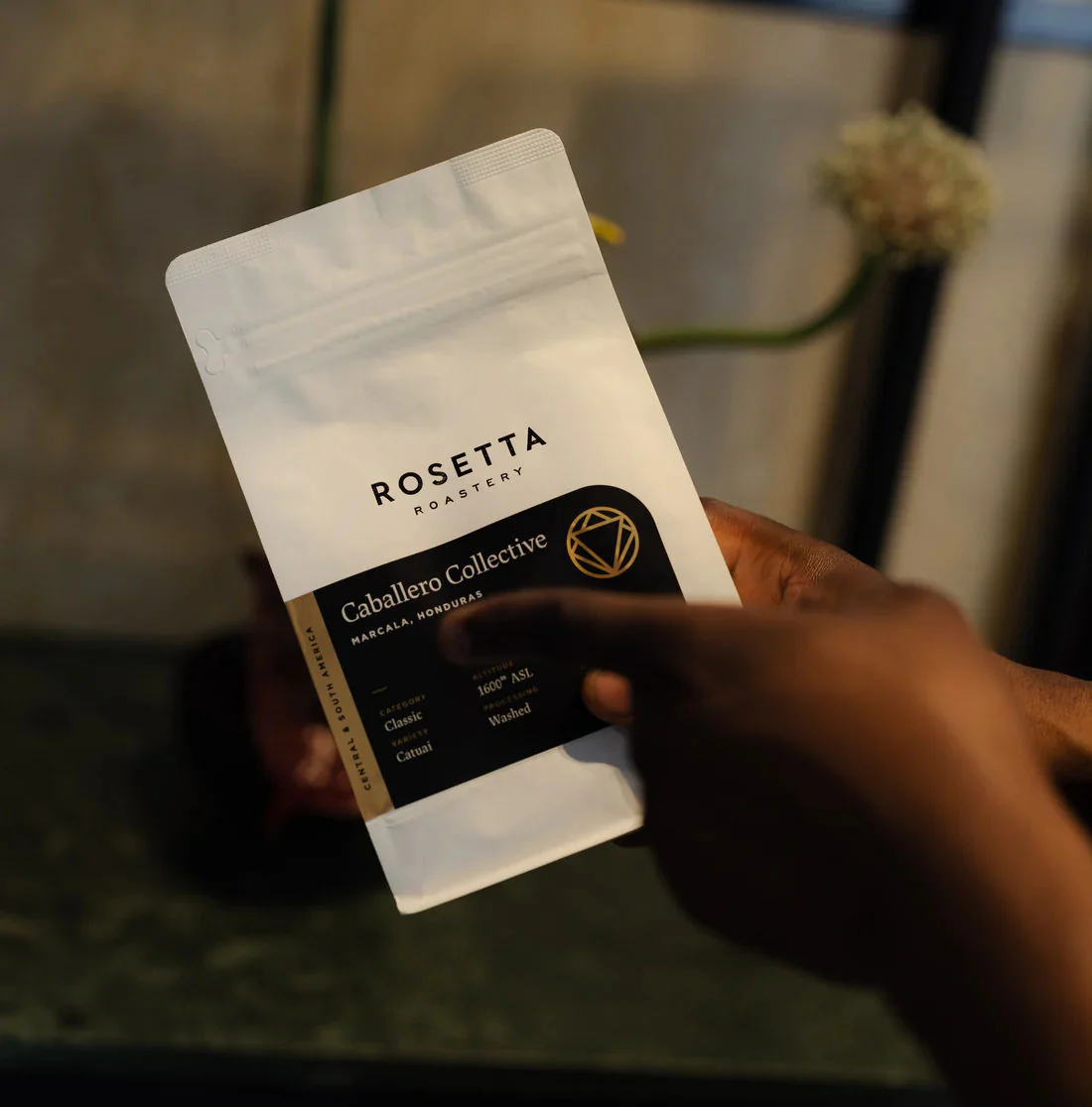 Rosetta Roastery - Caballero Collective - Image 4
