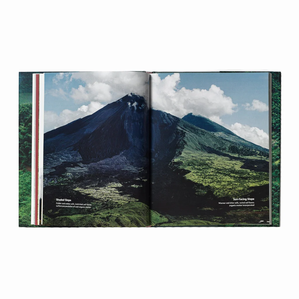 Terroir by Barista Hustle and Scott Rao Publications - Image 3