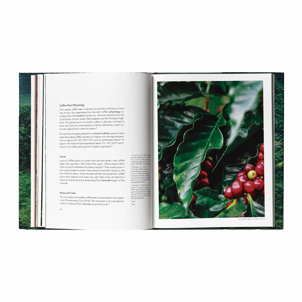 Terroir by Barista Hustle and Scott Rao Publications - Image 4